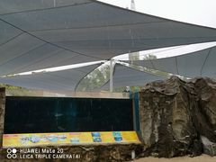 -新加坡水上探险乐园