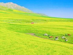 -扁都口生态休闲旅游区