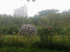 -金星公园