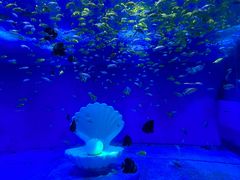 -洛阳龙门海洋馆