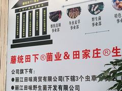-蘑统田下·野生菌火锅