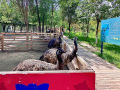 -水上乐园·欢乐世界