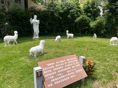 -圣心大教堂