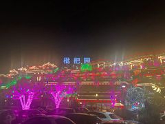-枇杷园食为鲜火锅(南山店)
