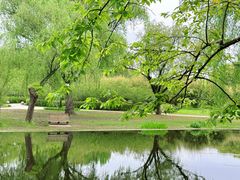 -上海共青森林公园