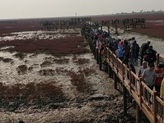 -盘锦红海温泉乐园