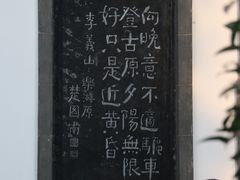 -西安乐游原
