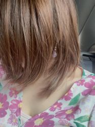 -蚂蚁造型俱乐部