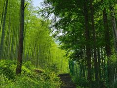 -山沟沟景区
