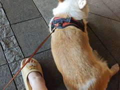 -迦南(杭州东站万象汇店)