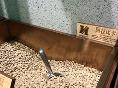 -尼珂波咖啡站(联合广场店)