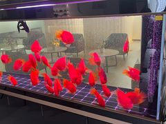 -上海和展广汽丰田4S店(老闵行店)