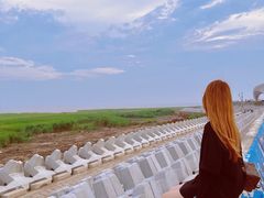 -南汇嘴观海公园