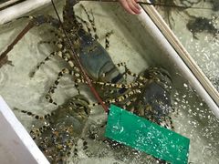 -拉威海鲜市场