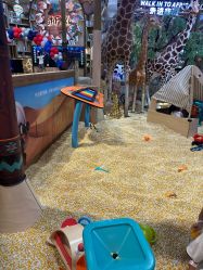 -卡通尼·Safari非洲探索乐园·生日会(金桥国际商业广场店)