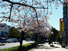 -成都濑川外国语学校