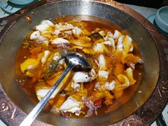 -雲蜀龙阁·金牌水煮鱼(方庄店)