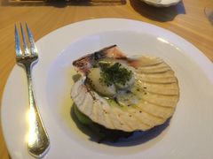 扇贝l-迪拜帆船酒店海底餐厅