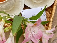 -HUATA 'Holiday Plan 花榻