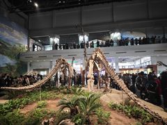 -自贡恐龙博物馆