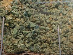 -安徽省地质博物馆