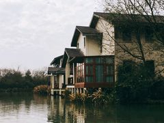 -太极禅苑