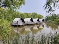 -上海长兴岛郊野公园