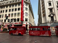 -新雅粤菜馆(南京东路店)