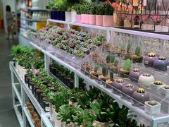 -KKV(深圳宏发大仟里店)