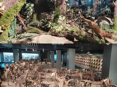 -大庆市博物馆