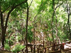-大岭沟猕猴桃谷风景区