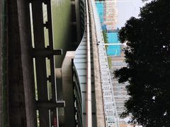-光明港公园