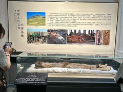 -巴音郭楞蒙古自治州博物馆