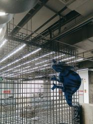 -斑斓色彩沙龙