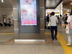 -秋叶原电器街