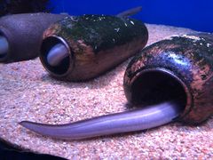 -青岛海底世界-水族馆