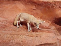 -Zoolung Zoolung动物主题公园(海信广场店)