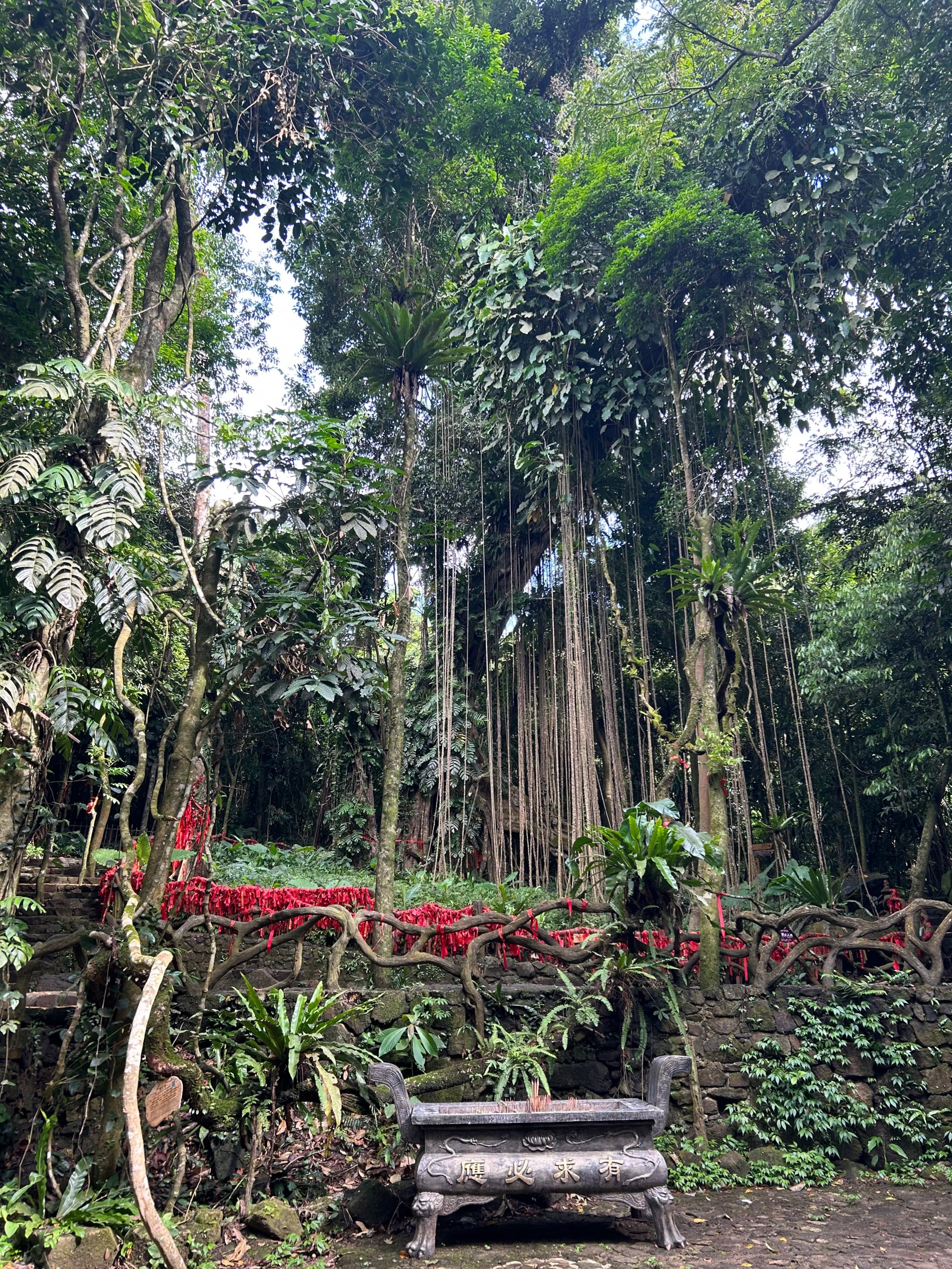 海南琼中百花岭风景区图片