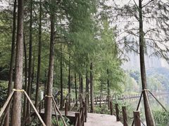 -重庆彩云湖湿地公园