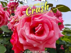 -花博汇(知音花月夜)