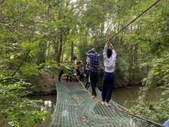 -溱湖国家湿地公园