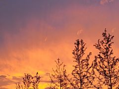 -天鹅湖体育公园