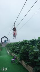 -可可天空农场(东部新城银泰店)
