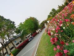 -厦门园林博览苑