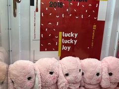 -LLJ夹机占(清河万象汇店)