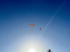 -西涌国际滨海旅游区