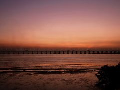 -宝安西湾红树林湿地公园