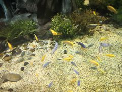 -福州罗源湾海洋世界旅游区
