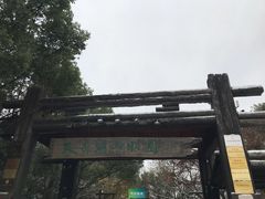 -天目湖山水园