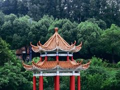 -西南政法大学(渝北校区)
